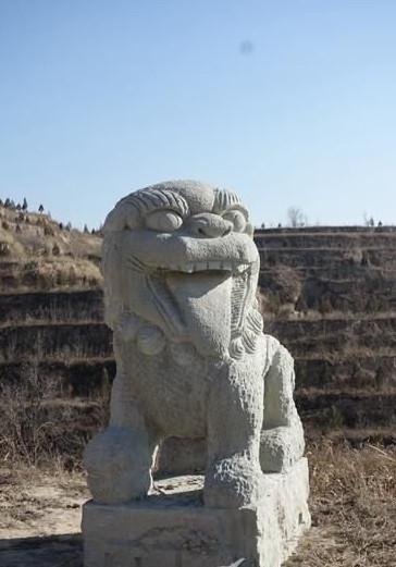 [视频]萌即正义！石狮宝宝们散发卖萌力护宅看家