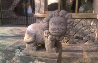 [视频]萌即正义！石狮宝宝们散发卖萌力护宅看家