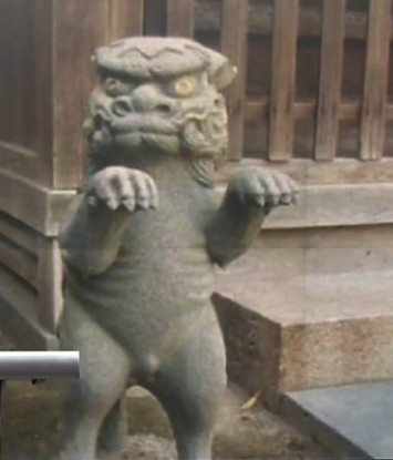 [视频]萌即正义！石狮宝宝们散发卖萌力护宅看家