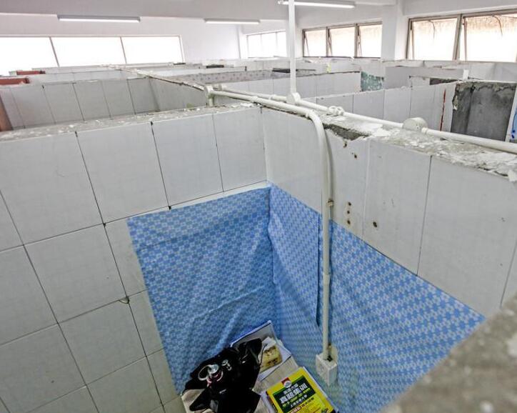 [视频]浙江：高校废弃浴室变身“小清新自习室”