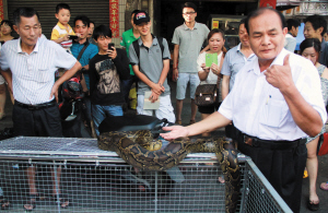 [视频]海口：老人与巨蟒同住七年 相处融洽如家人一般
