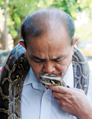 [视频]海口：老人与巨蟒同住七年 相处融洽如家人一般