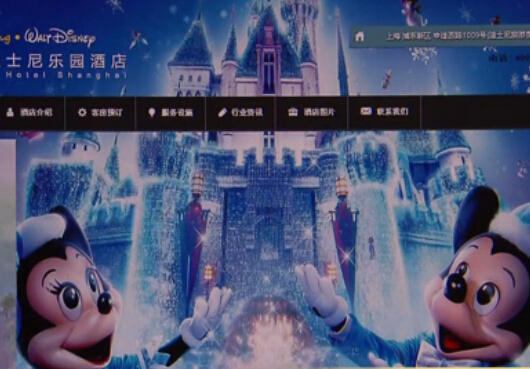 [视频]上海迪士尼酒店官网被山寨 银行卡信息有被盗用风险