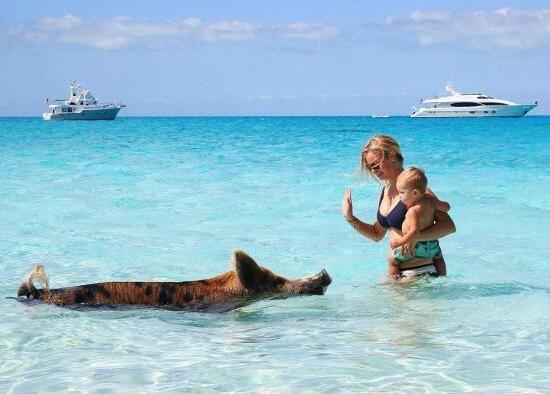 [视频]25岁高帅富3亿卖创业公司 带全家四口环游世界