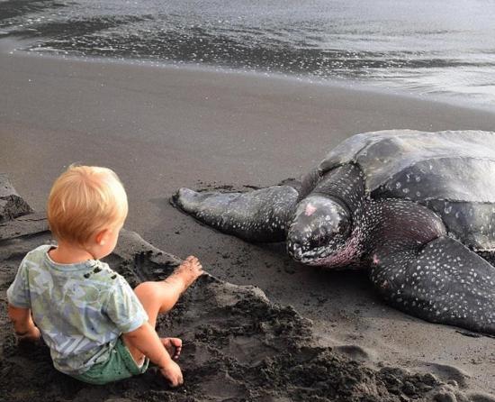 [视频]25岁高帅富3亿卖创业公司 带全家四口环游世界
