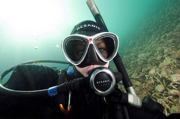 [视频]场面壮观 难得一见 蜘蛛蟹浩浩荡荡大迁徙