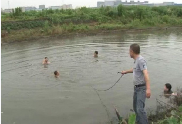 [视频]好奇心驱使想看狗游泳 结果主人落水溺亡