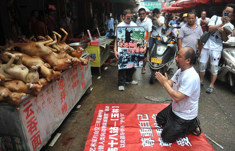 [视频]外交部回应“广西玉林狗肉节” 当地政府从未支持举办