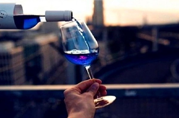 [视频]兴趣改变世界！西班牙青年“玩”出蓝色葡萄酒