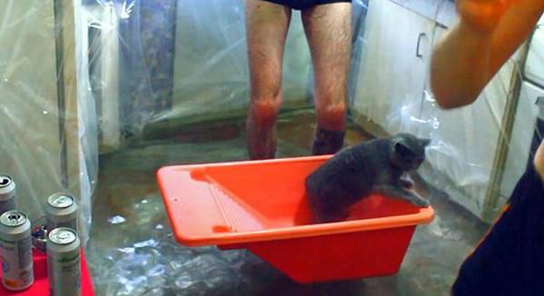 [视频]突发奇想！将厨房改造为泳池 游完还能复原