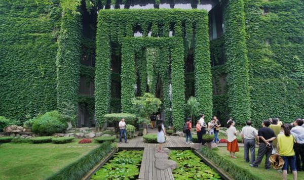 [视频]温州大宅布满爬山虎绿意盎然 宛若仙境