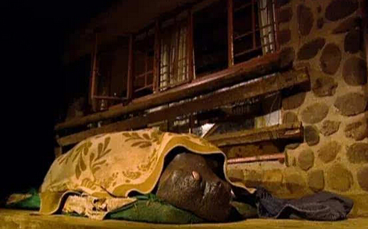 [视频]16年前捡了只河马宝宝回家 现在家里多了个撒娇大公举