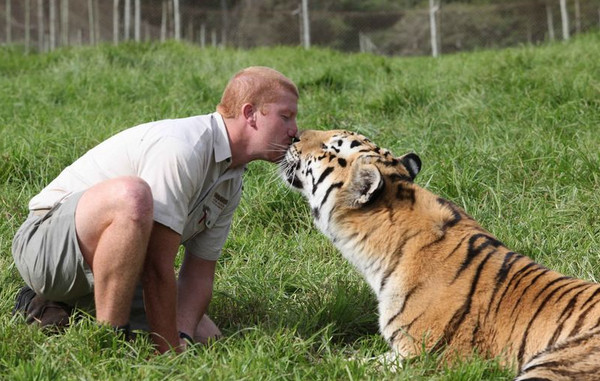 [视频]爱意满满的动物亲吻瞬间