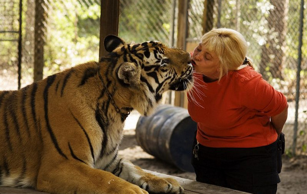 [视频]爱意满满的动物亲吻瞬间