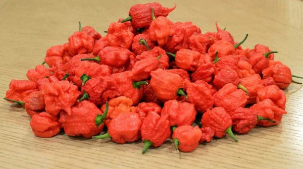 [视频]澳大利亚吃辣椒大赛 两名冠军各吃下4个“死神辣”