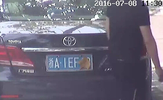 [视频]违停司机“脑洞大开” 竟用树叶遮挡号牌