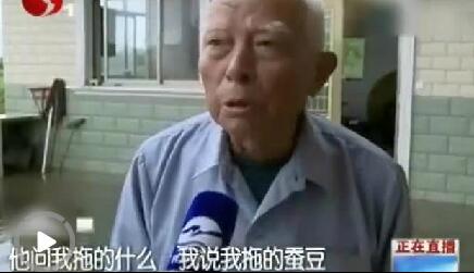 [视频]8旬老人手剥114斤蚕豆换得1200元假币 当场流泪满面