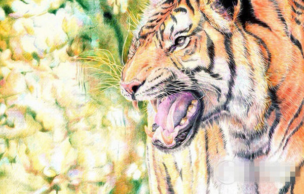 [视频]原来可以这么画 大学男生用圆珠笔作画走红