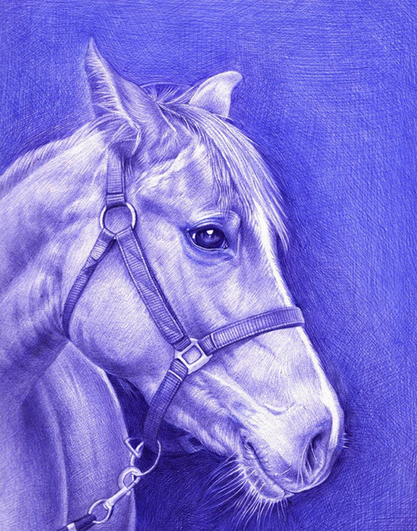 [视频]原来可以这么画 大学男生用圆珠笔作画走红