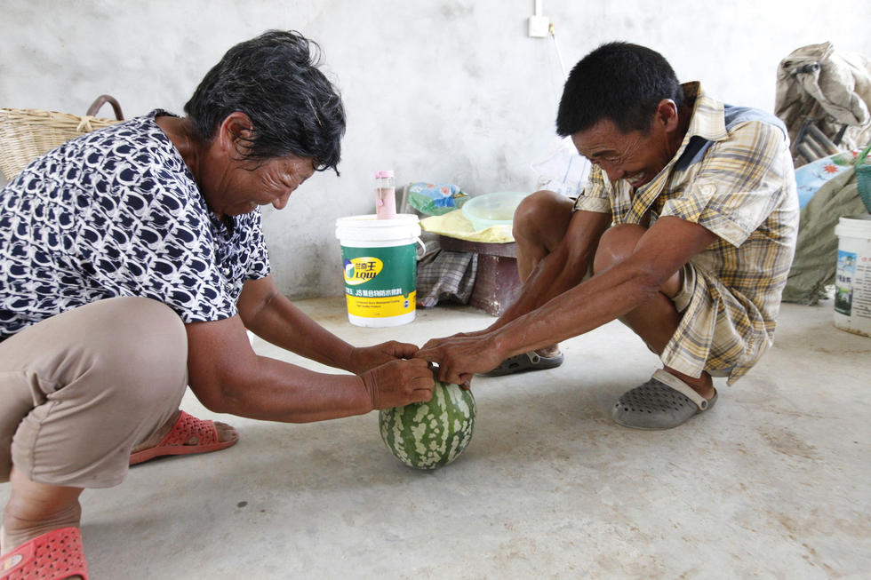 [视频]湖北农民种出奇葩西瓜 当球踢摔不破掰不开