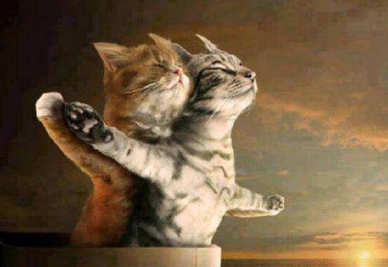 [视频]单身者已婚者谁更幸福？