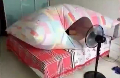 [视频]小伙会享受 电扇吹出环绕风