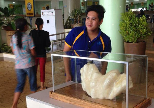 [视频]世界最大珍珠价值一亿美金 竟被渔民雪藏十年