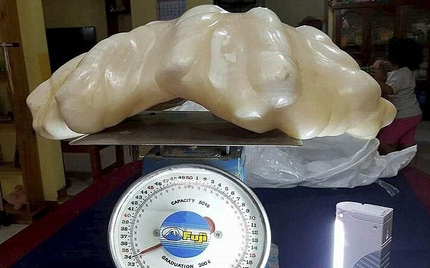 [视频]世界最大珍珠价值一亿美金 竟被渔民雪藏十年