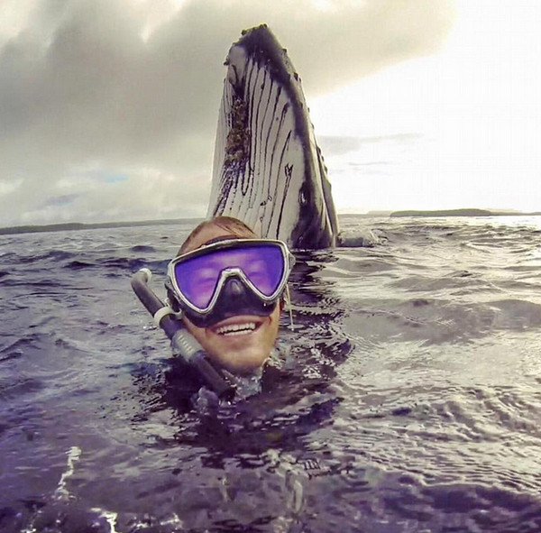 [视频]澳大利亚小哥潜水自拍 却被淘气鲸鱼抢镜