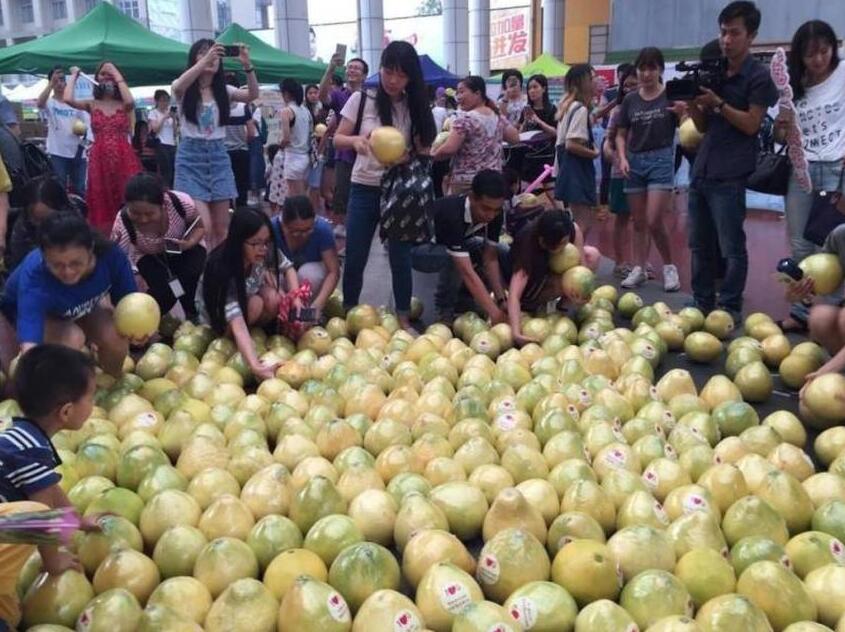 [视频]广州男生摆999个柚子表白被拒 柚子被哄抢