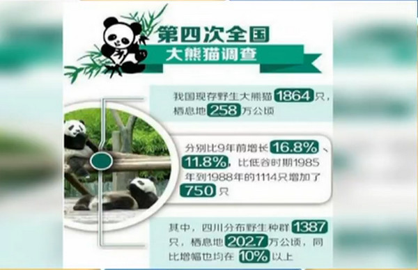 [视频]大熊猫受威胁程度“降级”？ 国家林业局：大熊猫仍是濒危物种 降级保护尚早