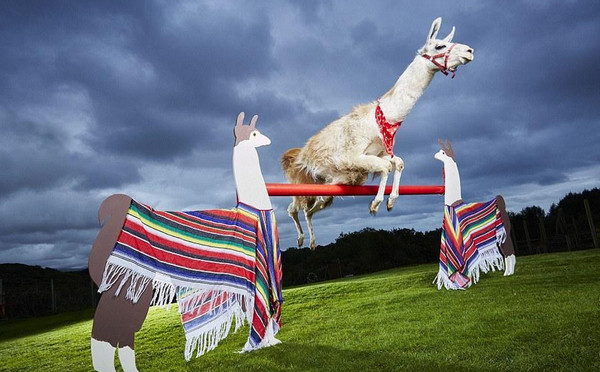 [视频]吉尼斯：探索万物之极限 2017版世界纪录大全成册