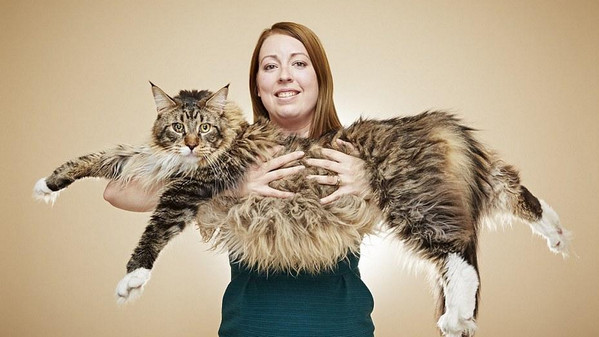 [视频]吉尼斯：探索万物之极限 2017版世界纪录大全成册