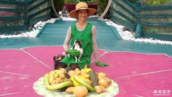 [视频]夫妻俩在孤岛建房子 住25年水上乐园