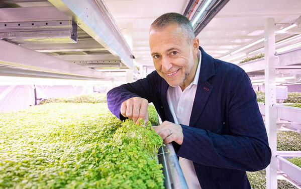 [视频]英国防空洞被改造成世界首个地下农场