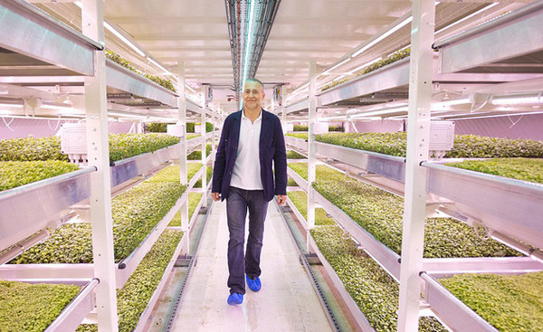 [视频]英国防空洞被改造成世界首个地下农场