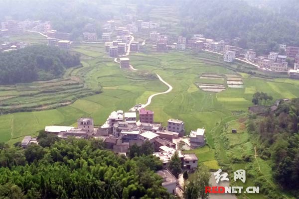 [新长征路上]隆回县桃洪镇荆枝村