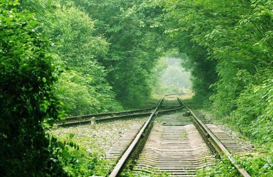 [视频]安徽肥东：“爱情隧道”升温 开启甜蜜之旅