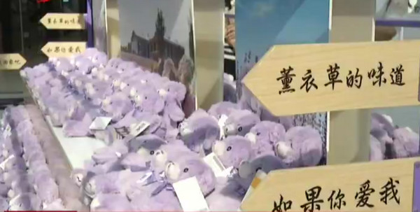 [视频]成都至悉尼下月直航 澳洲薰衣草小熊提前探路