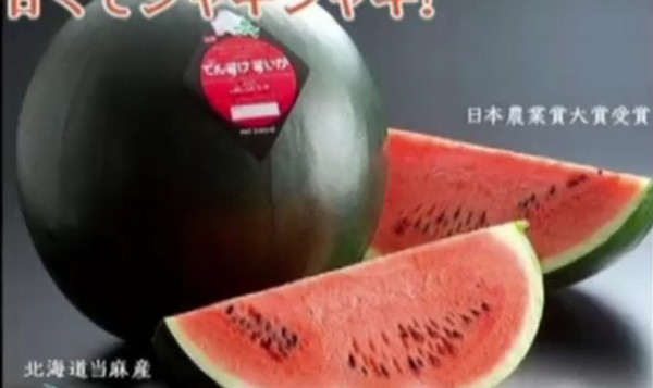 [视频]这些奇葩的拍品：价值125万的电话号码 一个西瓜值辆车