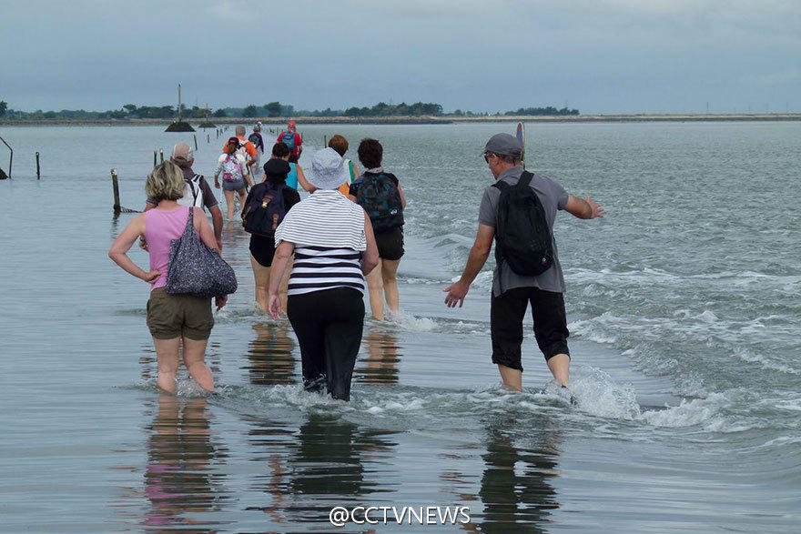 [视频]法国“任性公路”一天只出现两次 涨潮后就消失