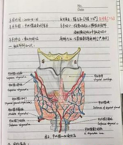 [视频]90后美女护士手术笔记走红 字迹工整解剖图手绘