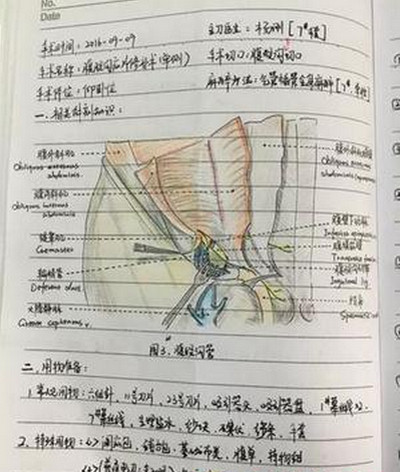 [视频]90后美女护士手术笔记走红 字迹工整解剖图手绘