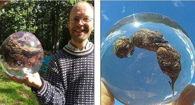 [视频]英粪便博物馆将巡展18种生物粪便 包括3800万年样本