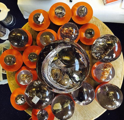 [视频]英粪便博物馆将巡展18种生物粪便 包括3800万年样本