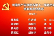 中国共产党湖南省第十一届委员会常务委员会委员