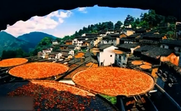 [视频]沪昆高铁 史上“颜值最高”的高铁线即将通车