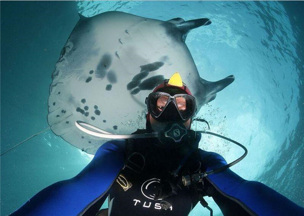 [视频]潜水员菲律宾海底探险 与动物同游自拍