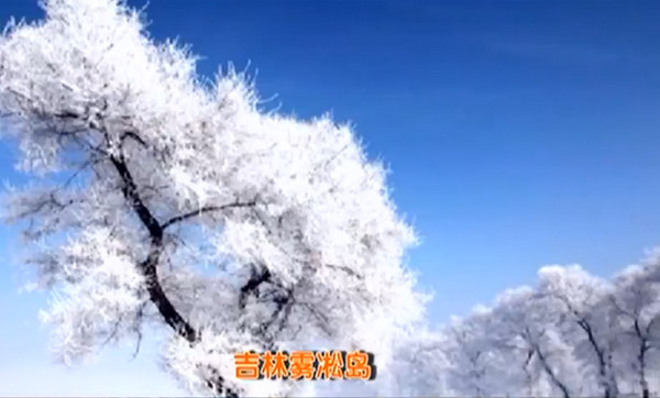 [视频]最美冬天：北方大雪纷飞 南方花开成海