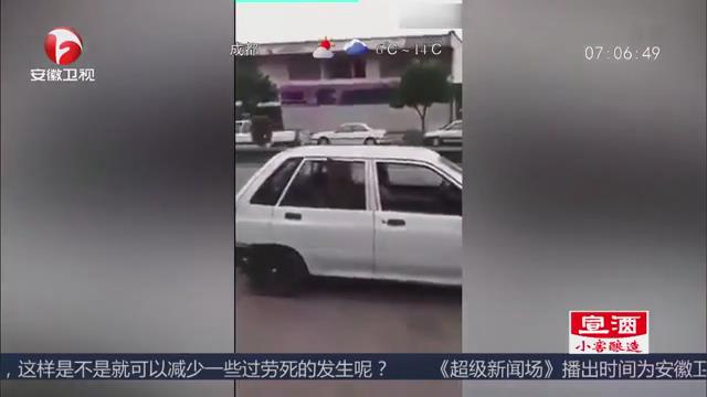 [视频]狗狗自己上车 动作一气呵成